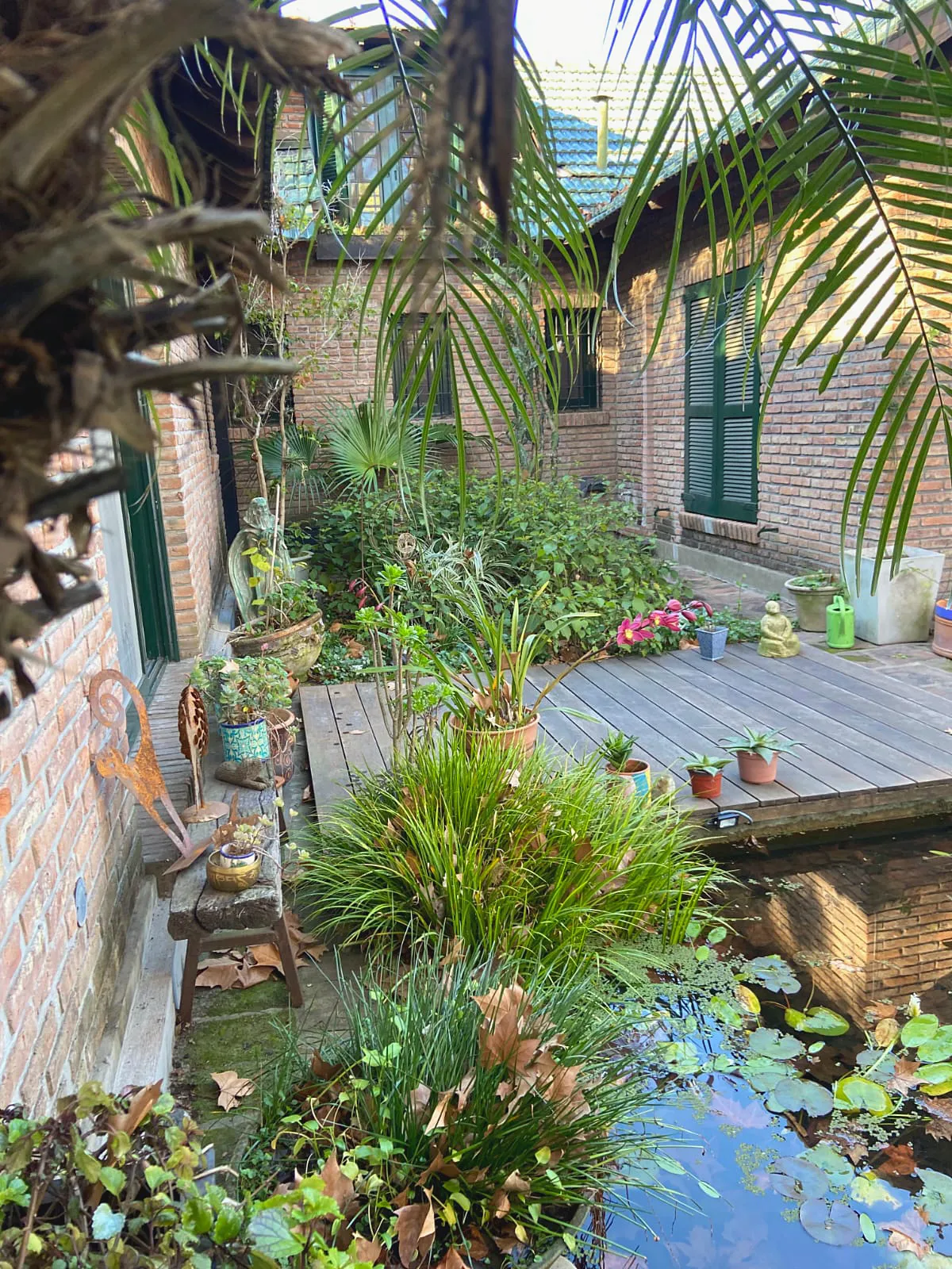 Jardín contemporáneo con palmeras y piscina junto a una vivienda moderna