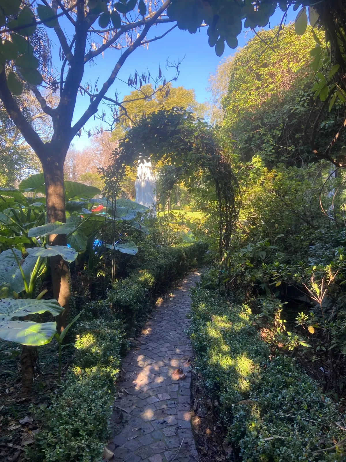 Proyecto Jardín Estudio — portada del sitio web, sendero con arco florido